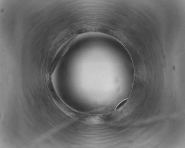 X0000080120086200612081303