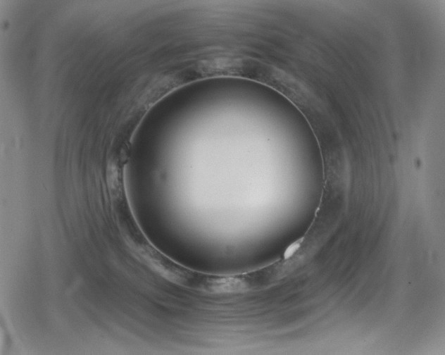 X0000080120087200612081303