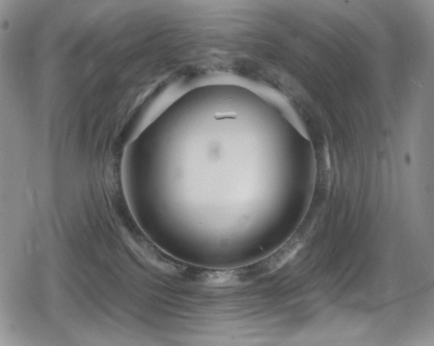 X0000080120088200612081303