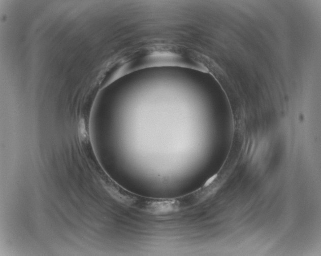 X0000080120089200612081303