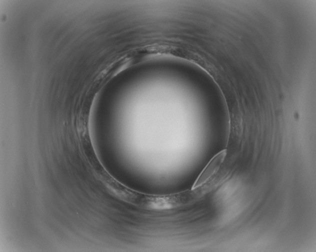 X0000080120091200612081303