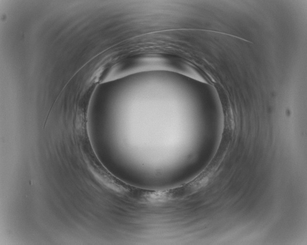 X0000080120092200612081303
