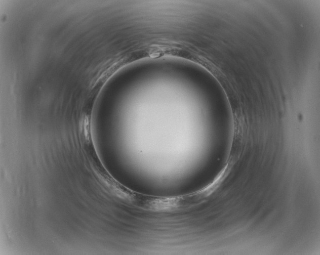 X0000080120094200612081303