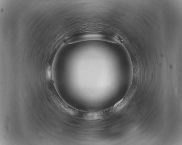X0000080120095200612081303