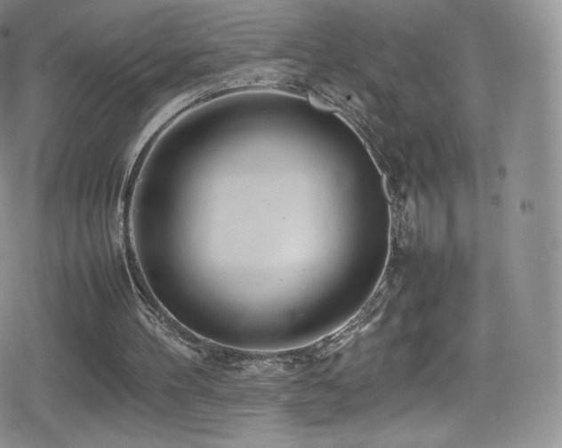 X0000080120100200612081302
