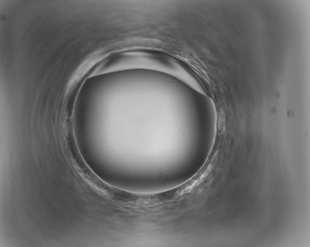 X0000080120101200612081302