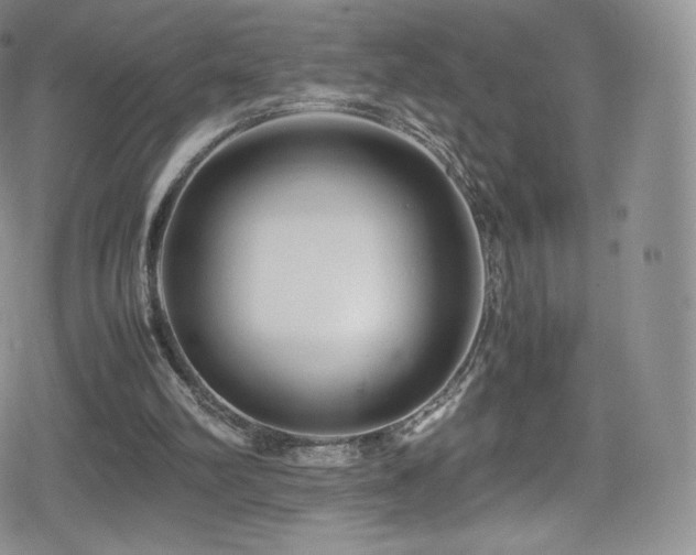 X0000080120102200612081302