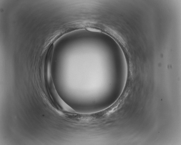 X0000080120105200612081302