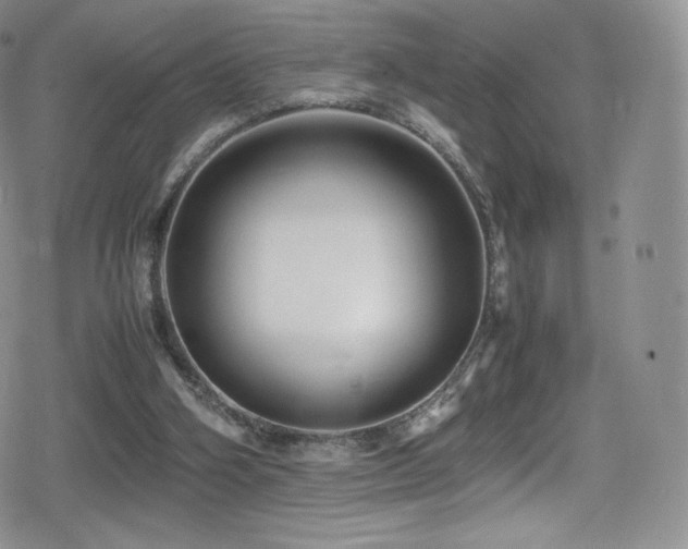 X0000080120106200612081302