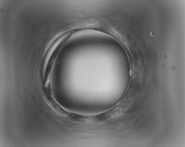 X0000080120107200612081302