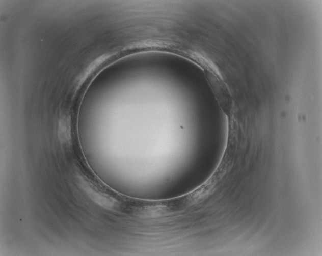 X0000080120108200612081302
