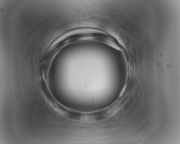 X0000080120109200612081302