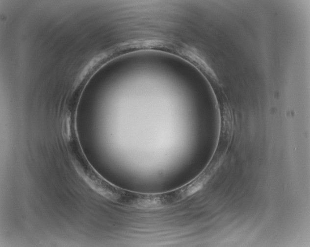 X0000080120110200612081302