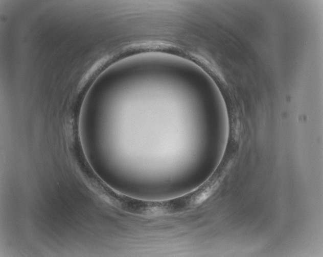X0000080120111200612081302