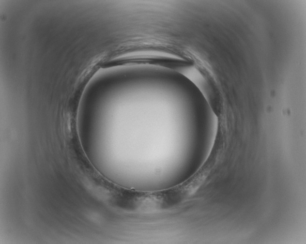 X0000080120115200612081302