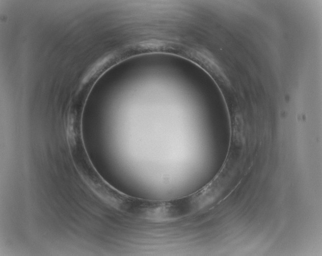 X0000080120116200612081302