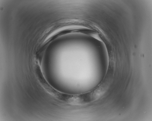 X0000080120119200612081302