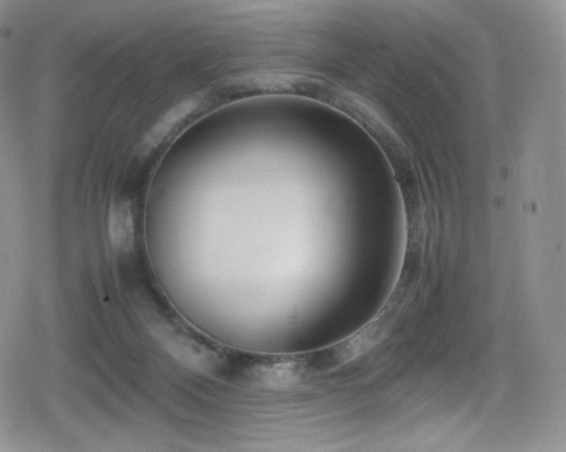 X0000080120120200612081302