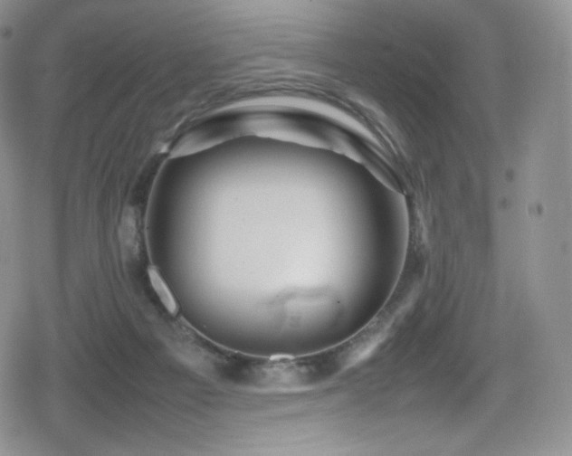 X0000080120121200612081302