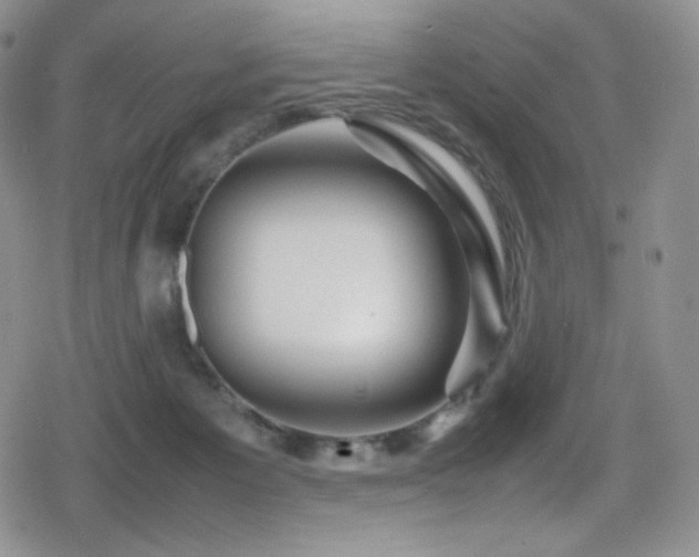 X0000080120125200612081301
