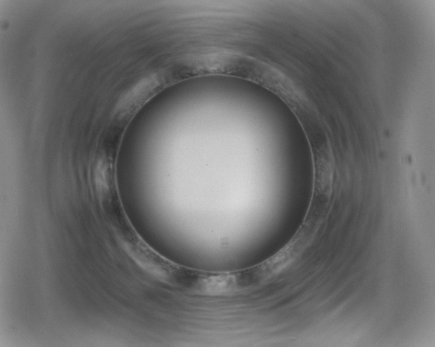 X0000080120126200612081301