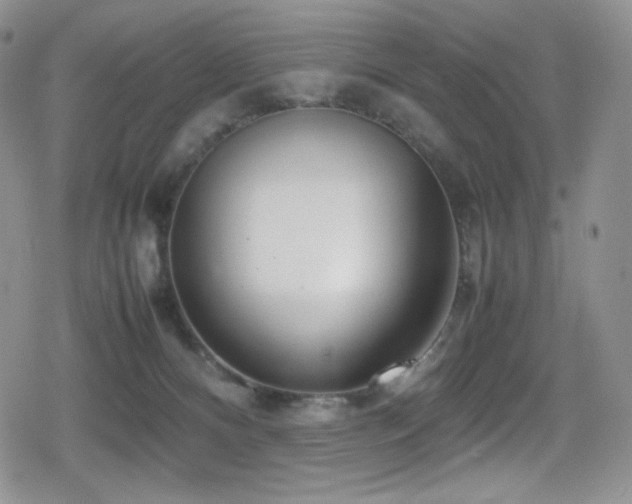 X0000080120128200612081301