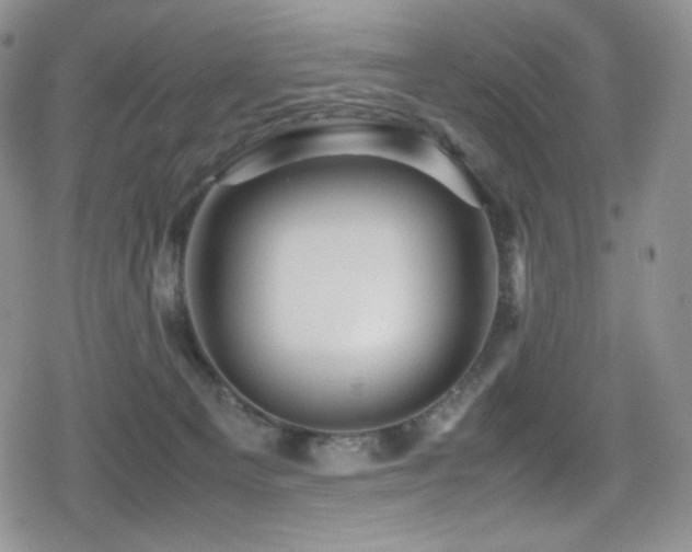 X0000080120129200612081301