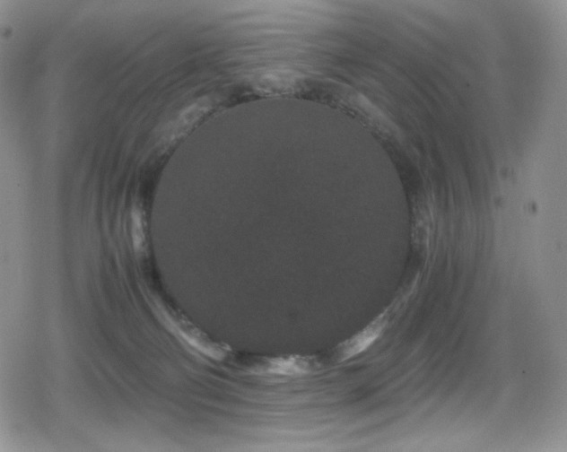 X0000080120130200612081301