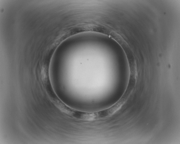X0000080120131200612081301