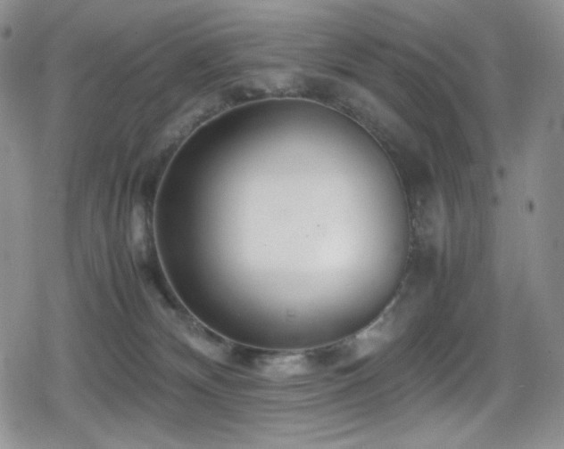 X0000080120132200612081301