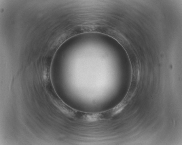 X0000080120134200612081301