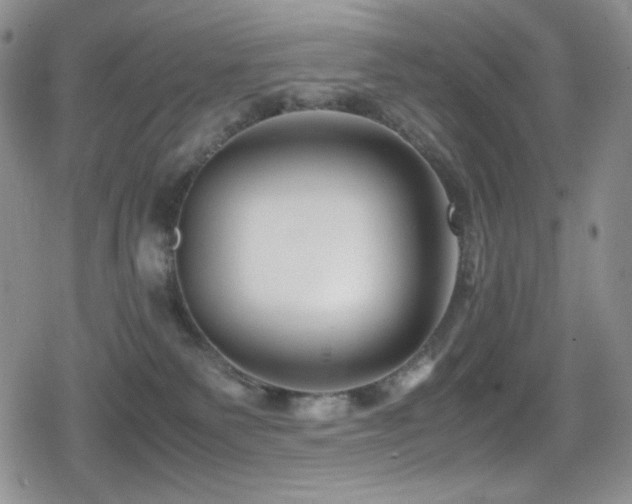 X0000080120135200612081301