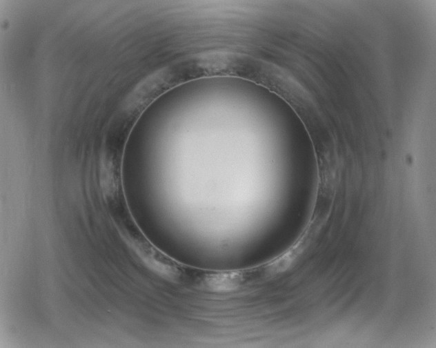 X0000080120136200612081301