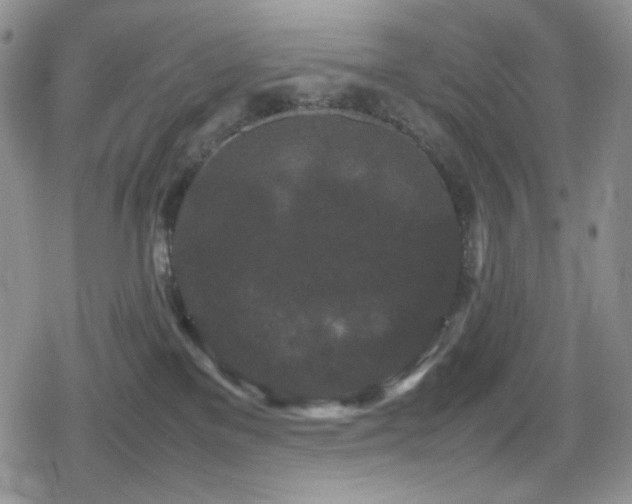 X0000080120137200612081301