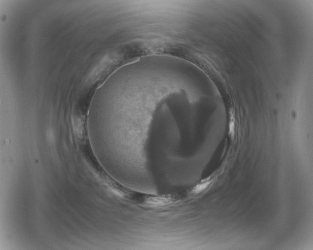 X0000080120139200612081301