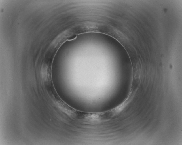 X0000080120140200612081301