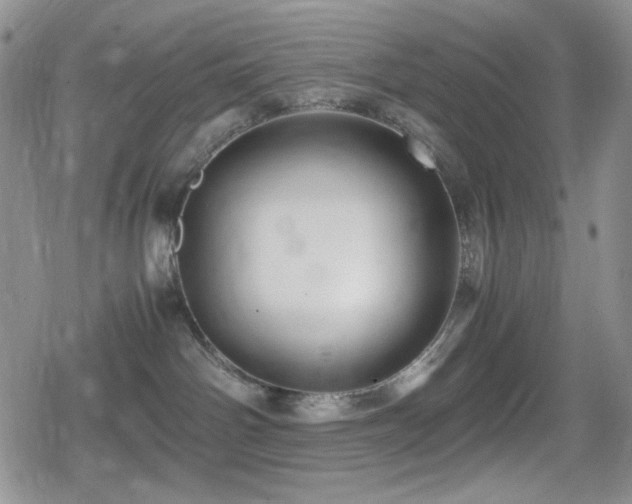 X0000080120142200612081301