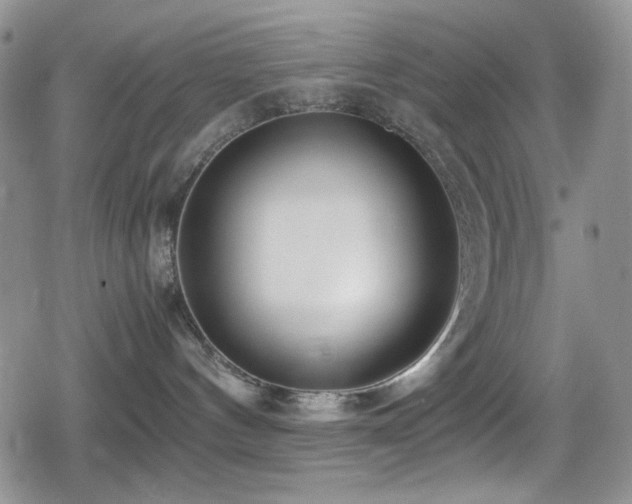 X0000080120144200612081301