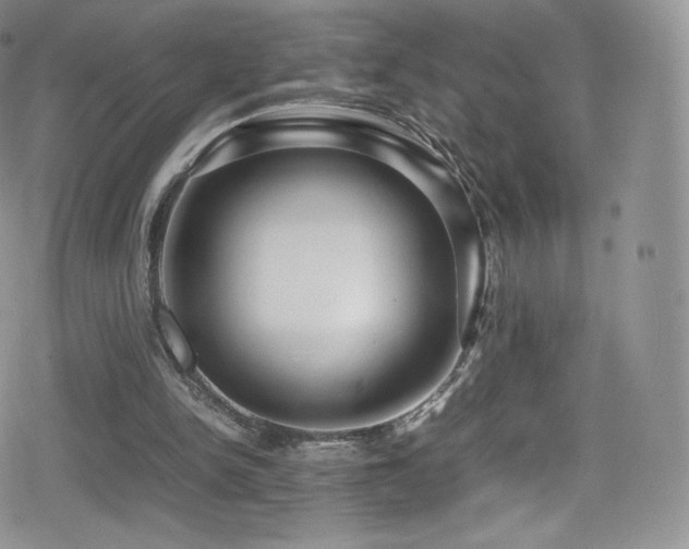X0000080120150200612081300