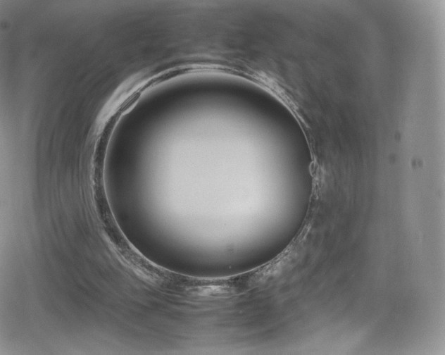X0000080120151200612081300