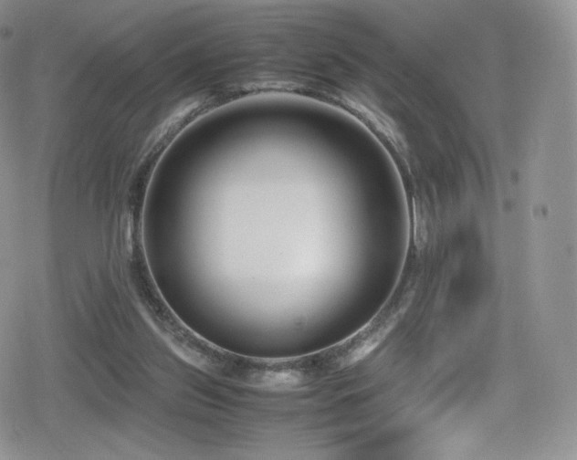 X0000080120157200612081301