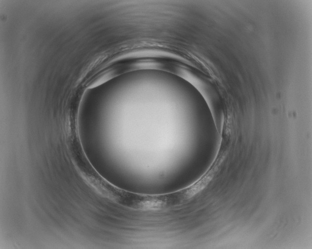 X0000080120158200612081301