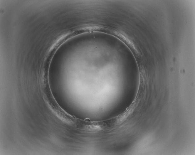 X0000080120159200612081301