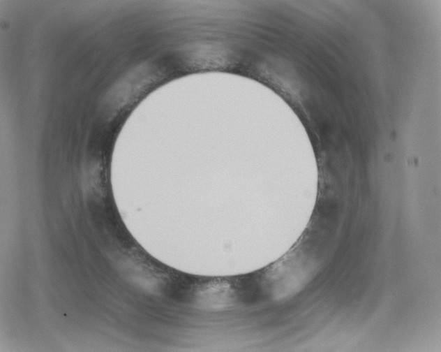 X0000080120162200612081301