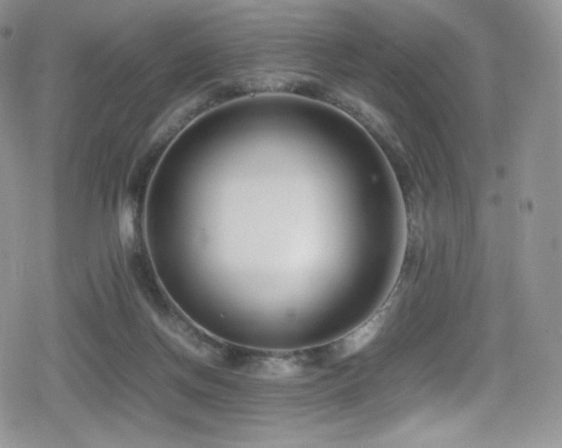 X0000080120166200612081301