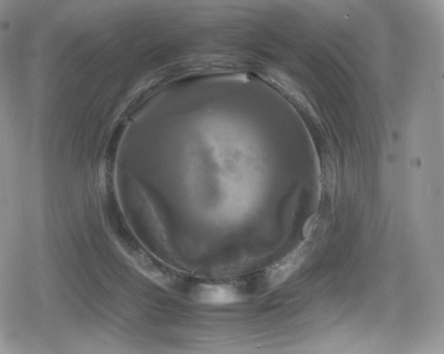 X0000080120167200612081301