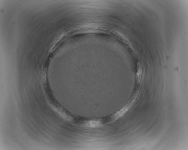 X0000080120168200612081301