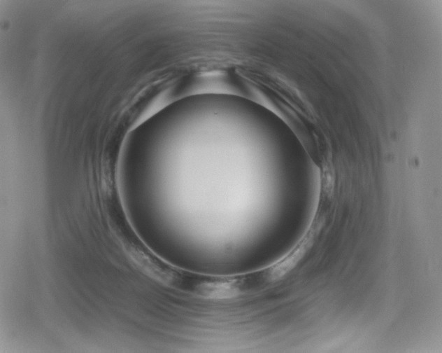 X0000080120170200612081301