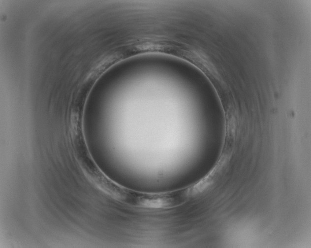 X0000080120171200612081301