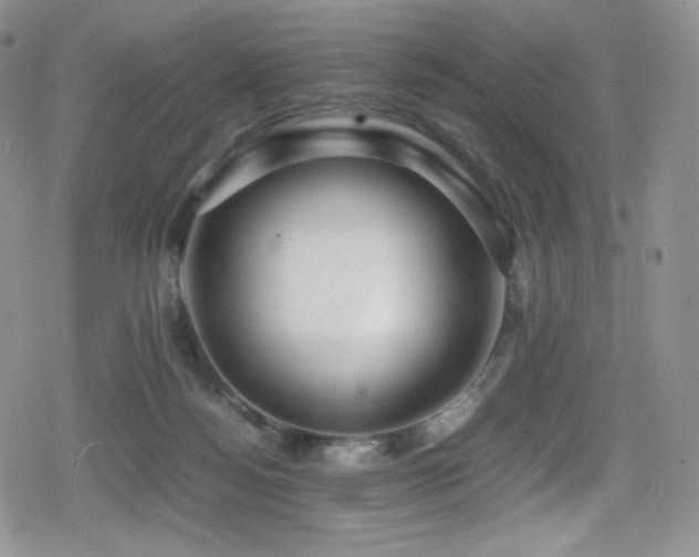 X0000080120172200612081301